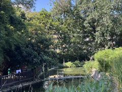 -成都市活水公园