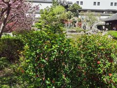 -江宁织造博物馆