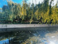 -元大都城垣遗址公园