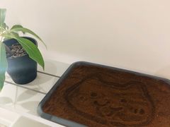 -CAFE'IN精品咖啡体验空间(小寨店)