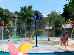 -苏州乐园森林水世界