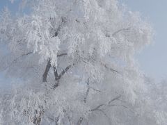 -雾凇岛