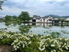 -呈坎景区