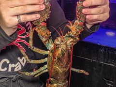 -The Boiling Crab宝灵蟹手抓海鲜(中国首店)