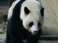 -南宁市动物园