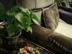 -鸿鹄足浴店(东门店)