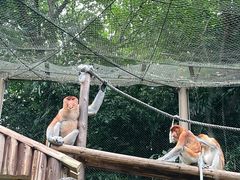 -广州长隆野生动物世界