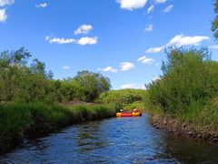 -塞罕坝国家级自然保护区