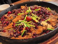 -老板恋上鱼(恒隆广场店)