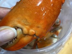 -老伯蟹脚店(朝阳路店)