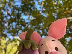 -大玩家(通州万达广场店)