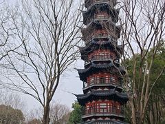 -上海佘山国家森林公园西佘山园