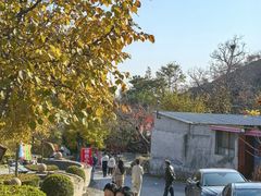 -遵化市禅林寺古银杏风景园