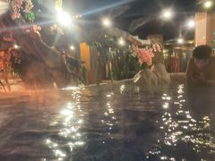-中铁花水湾温泉酒店(大邑店)
