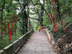 -宝通禅寺