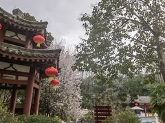 -汤峪温泉碧水湾