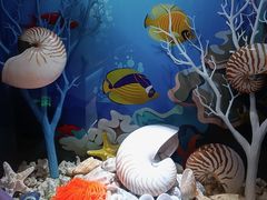 -多彩贵州城极地海洋世界