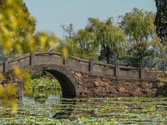 -无锡蠡湖国家湿地公园-蠡园