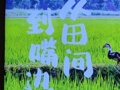 -杨厨的田园饭店(长城路店)