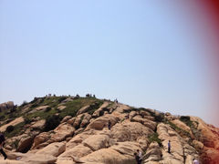 iphone_upload_pic-洋山深水港