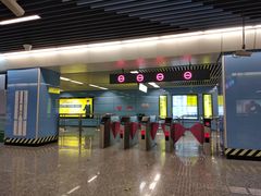 -大龙山(地铁站)