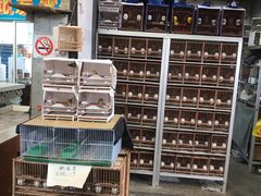 -万商花鸟市场