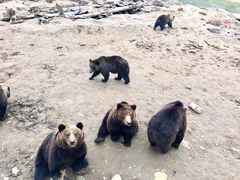 -北极村旅游风景区
