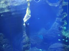 -多彩贵州城极地海洋世界