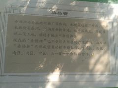 -北京市垂杨柳医院