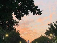 -广西大学(大学东路校区)