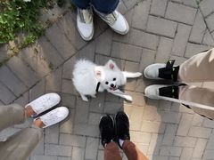 -东郊湿地公园