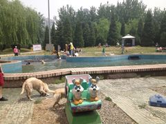 -酷迪宠物公园