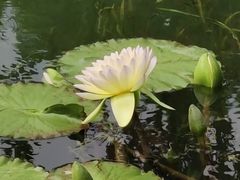 -云溪植物园