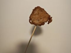 潮汕特色猪肉卷章-虎头炸·潮汕南乳炸鸡(未来城店)