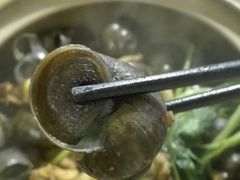 -食爺炭炉鸡煲·烧烤