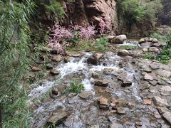 -湖洞水自然风景区