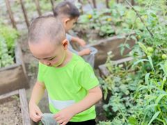 -培德书院幼儿园