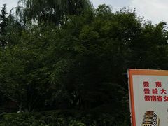 -云南省图书馆