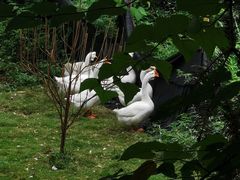 -韶关经律论国际酒店温泉