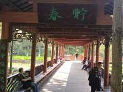 -重庆彩云湖湿地公园