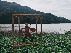 -广州市石门国家森林公园
