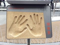-星光大道