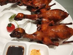 -广东道至正餐厅(区庄店)