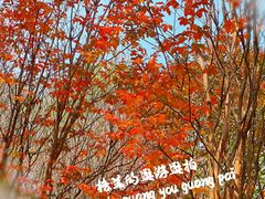-武定门公园