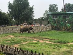 -西安秦岭野生动物园