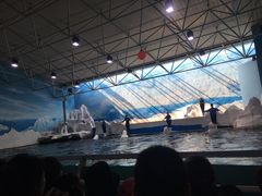 -同道蒸汽海鲜烧烤自助(刘庄夜市店)