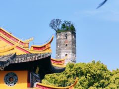 -江心屿景区