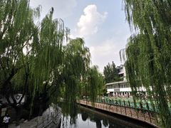 -环城公园