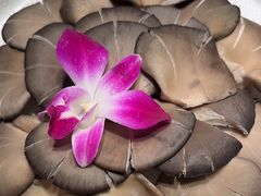 -南门四季铜锅涮肉(大屯·北苑店)