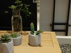 -炖物24章·顺时轻养茶(黄龙店)